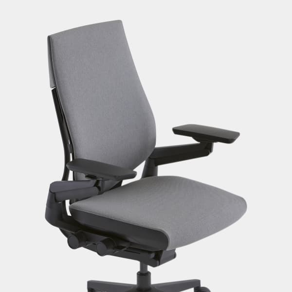  Steelcase Gesture Office Desk Chair with Headrest in Elmosoft  Genuine Dove Grey L115 Leather Plus Lumbar Support High Platinum Metallic  Frame with Seagull Seat/Back Merle Arms (Light/Light) : Home & Kitchen