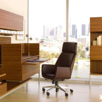 Bindu Executive Chair Steelcase Store